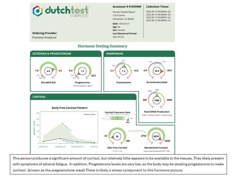 dutch testing image - Hormone testing summary infographic showing estrogen, progesterone, androgens, and cortisol gauges with a daily cortisol pattern chart and a caption explaining cortisol levels.